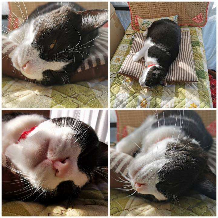 Def42f08 bae6 4838 afb3 649af46b88f9 1665901677752