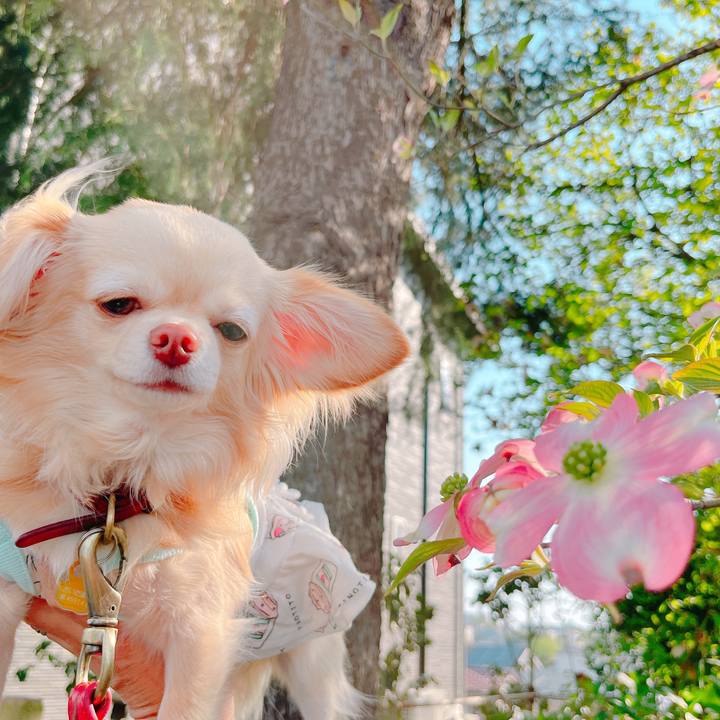 Def449ea 2f48 4864 a7da fd45b93f4cbf 1649766154292