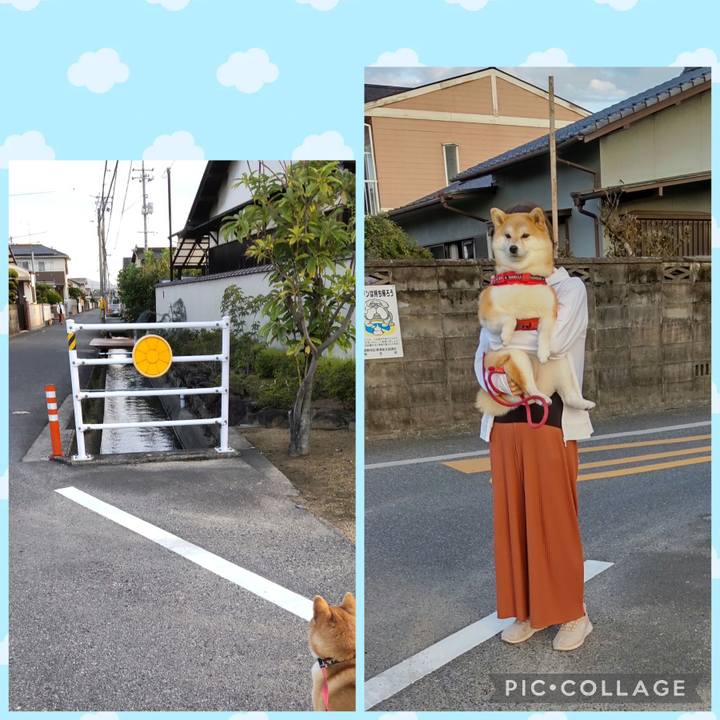 Def45509 13fe 487e bd65 69e756827df7 1759195887117