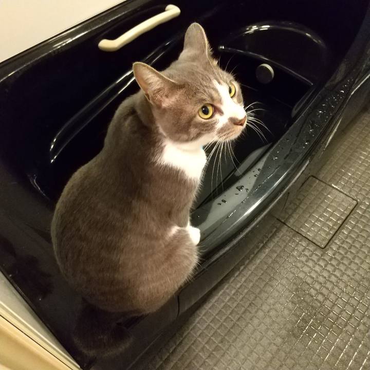 Def45e8b 09cc 4100 b2ef ed7e626399e7 1599571353668