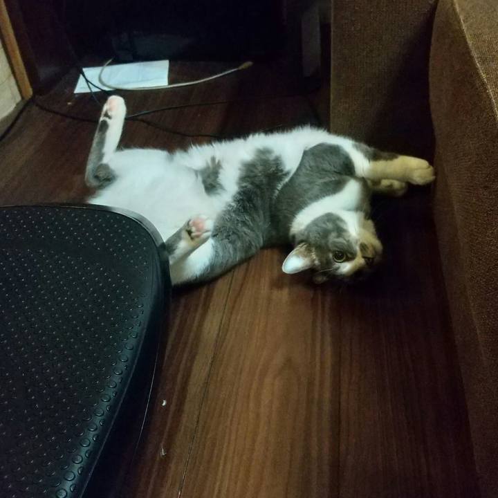 Def464bd 829d 4390 85a3 f7cb1a5a5874 1637878822434