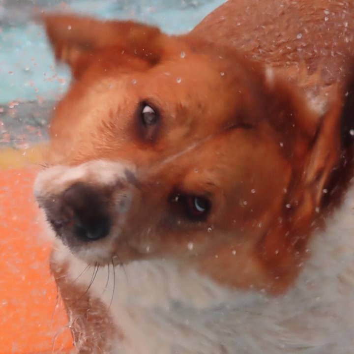 Def47988 9c4d 4dd0 a8d1 c626a46c6351 1652307948822