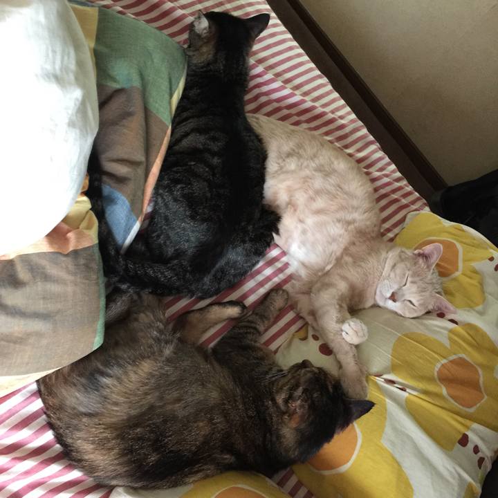 Def4839b 1166 424a 94bd 2cf666f6d389 1539602271198