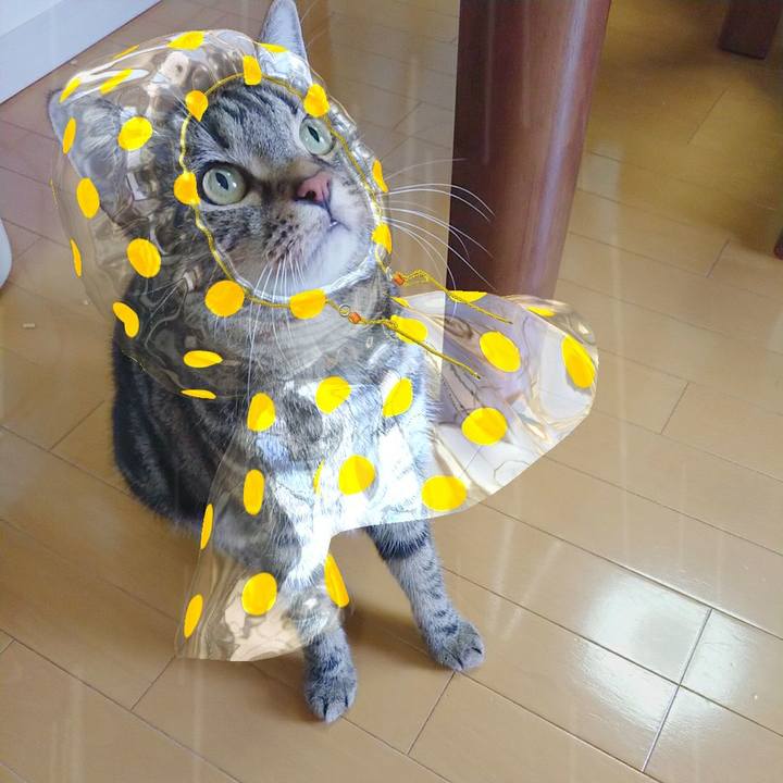 Def4d392 9810 4b03 890f 247e0f96cc37 1565582353086