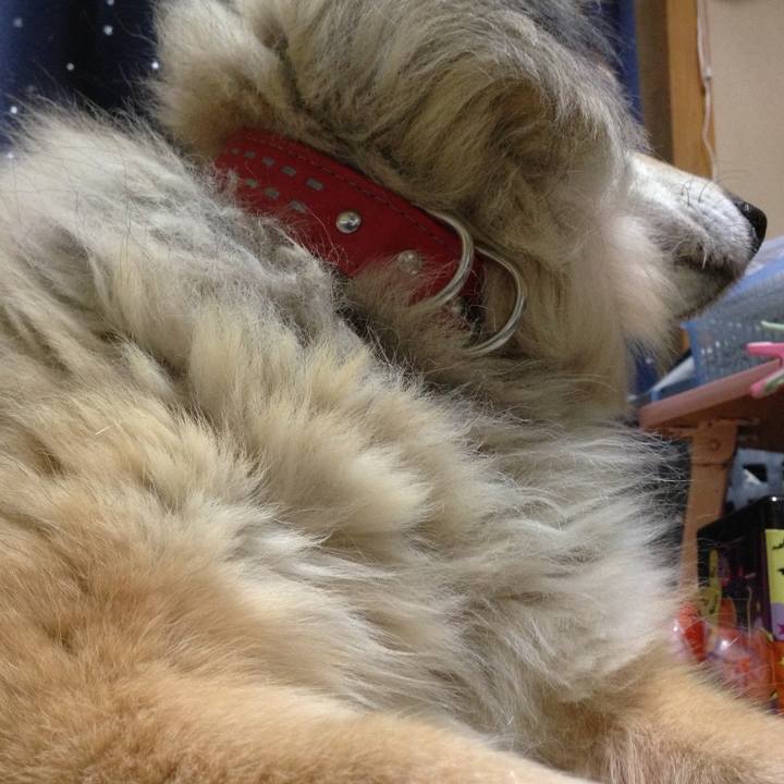 Def4fd4c 54bb 4e2d ae9d c3553eb97162 1562925555715