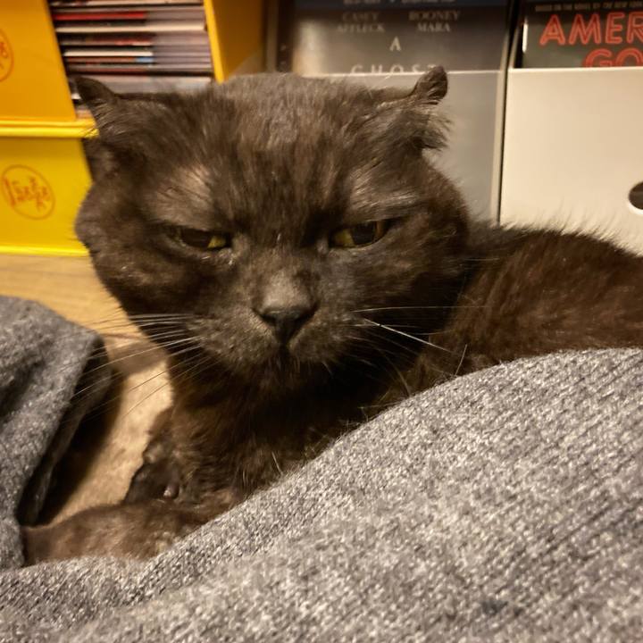 Def50669 e5c2 4fd1 9ef2 f99d861ec9a9 1612320166851