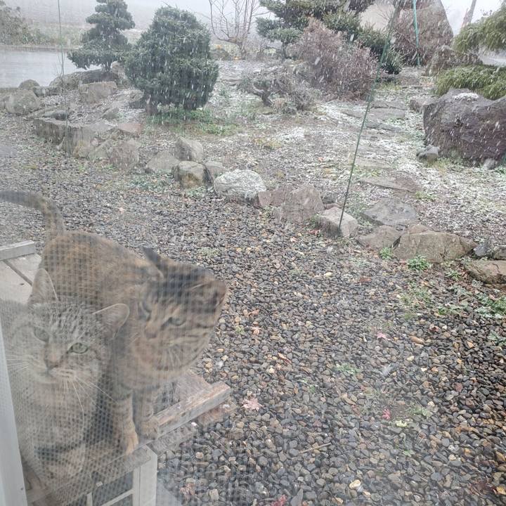 Def506a7 b49a 486b b1a0 d7ffcce5e827 1700799472196