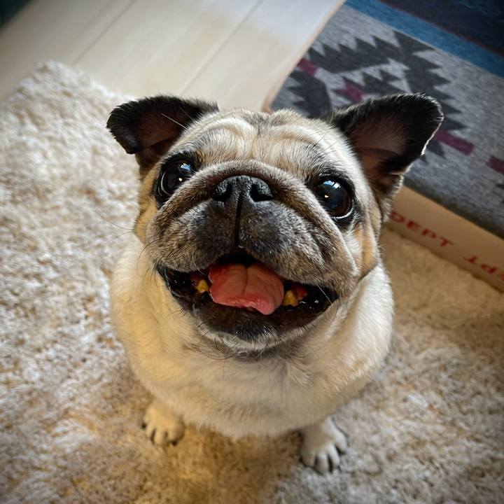 Def519e0 0e81 456a b4cb 711979099ce3 1763190812923