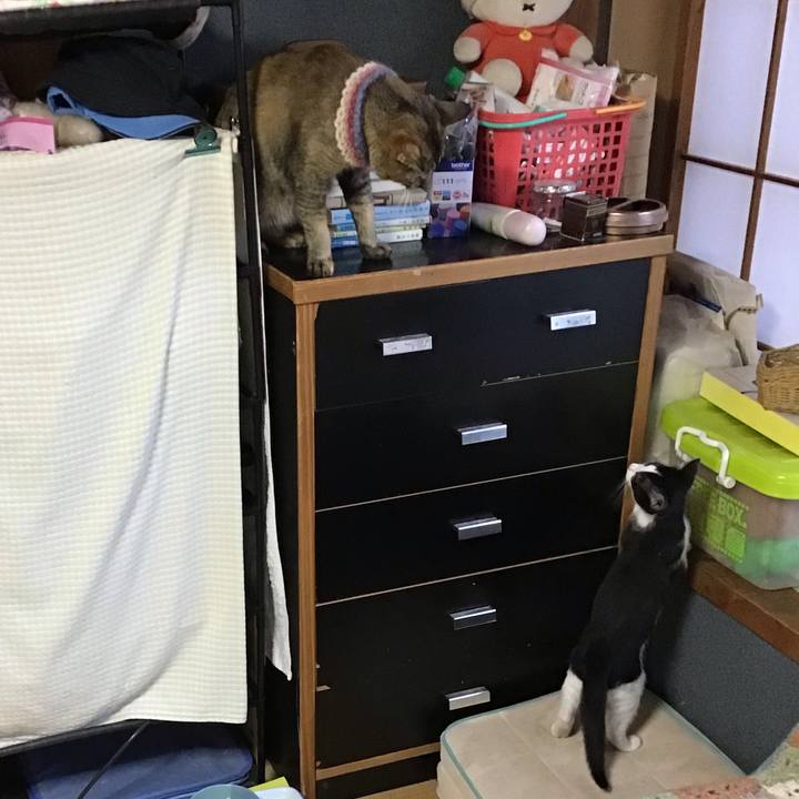 Def54c82 493c 4bc7 8c4e 969ec6d3a22b 1625910145607