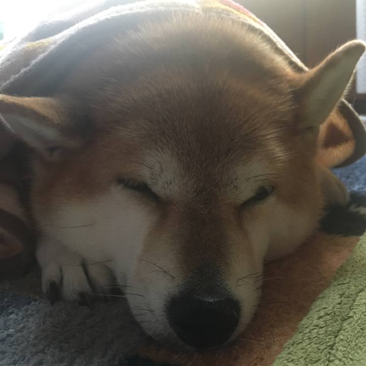 Def57273 35d5 4533 89ba 22a0e63721ba 1602053486462