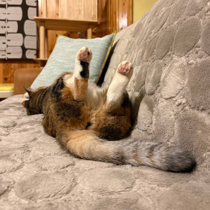 Def57655 e8e3 42eb a350 01a48a953834 1768564189632