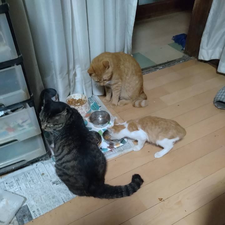 Def593e7 05f0 4e1e 93b7 02987e9d303e 1726006171260