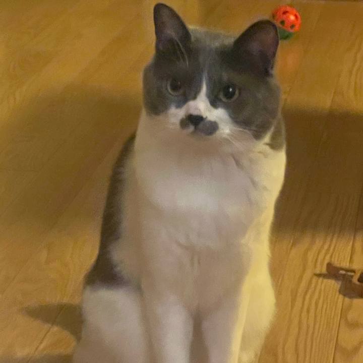 Def59414 e513 467d 878c cb8921452849 1627904830168