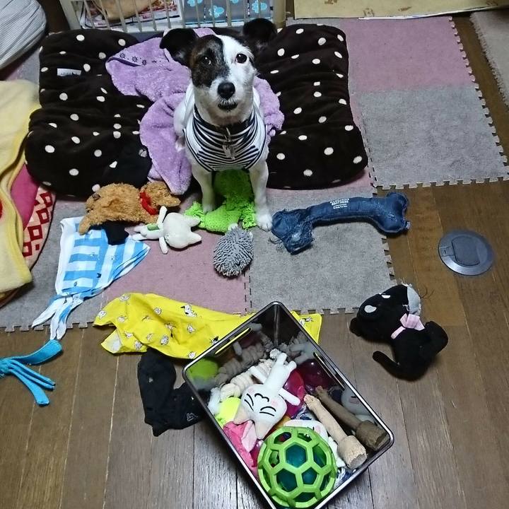 Def5ebef 6cd6 49bc 90dc d009105b8f5e 1512997973592