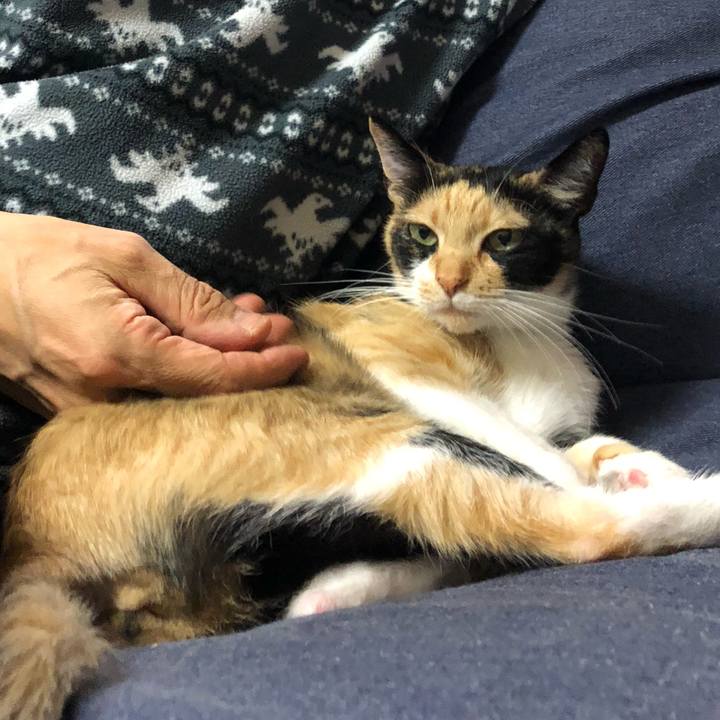 Def601fa a168 41e3 9a46 5d71a3242866 1554813732816