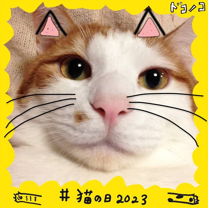 Def60811 a4a3 4159 93dc 9fa731664e27 1677015340778