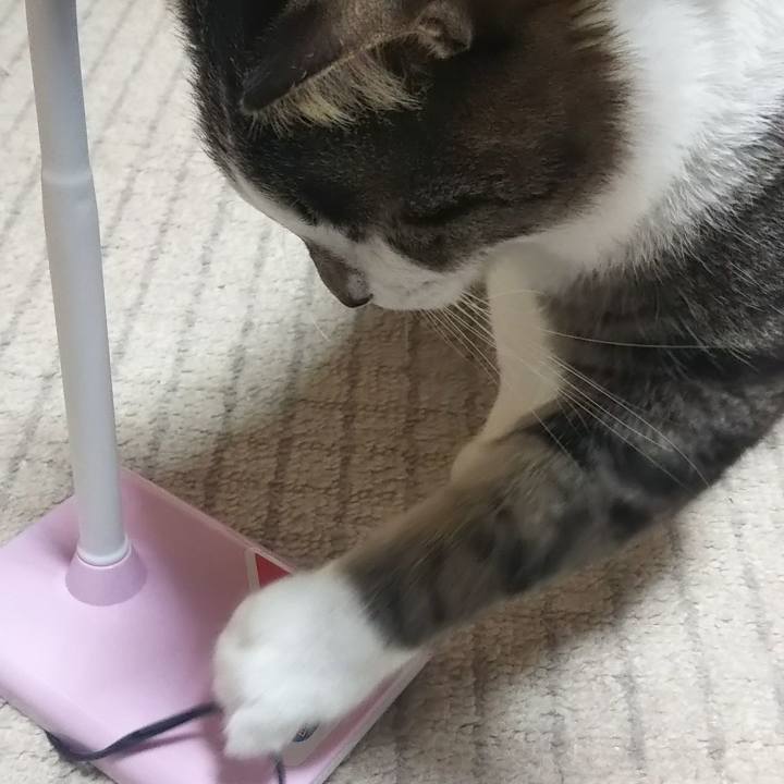 Def62e24 4553 47ab a286 5e9a026be95b 1614939477220