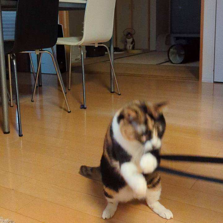 Def65301 4ce4 4d0e 97b8 cef20fde8077 1768134893146