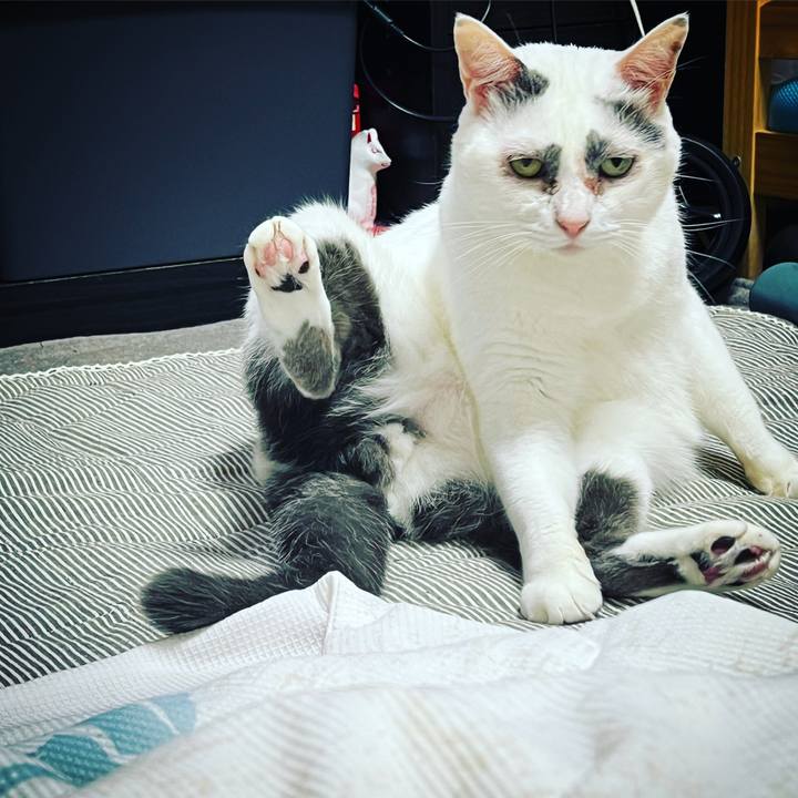 Def6637b d678 4b90 9f15 4eaceb05909e 1634749190246