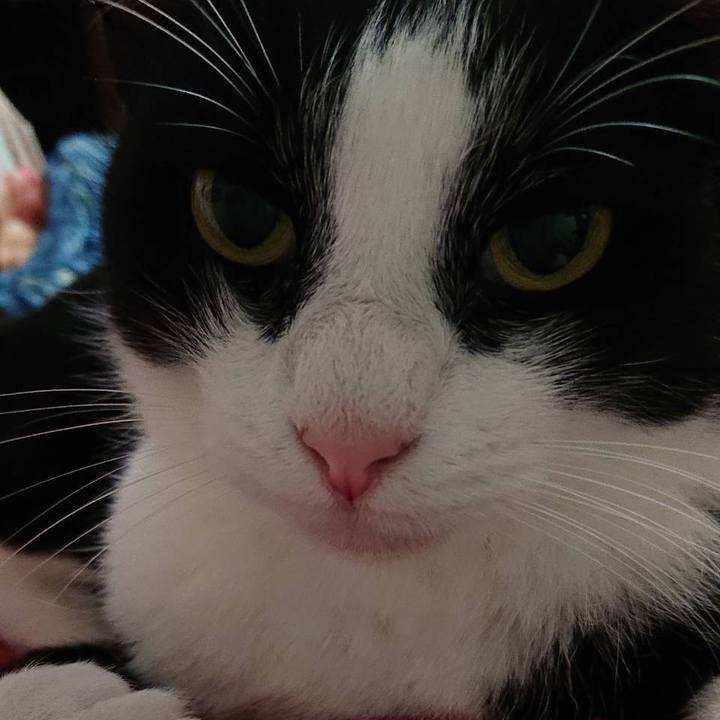 Def67073 9570 4163 a38d 10036a2c5242 1595504764391