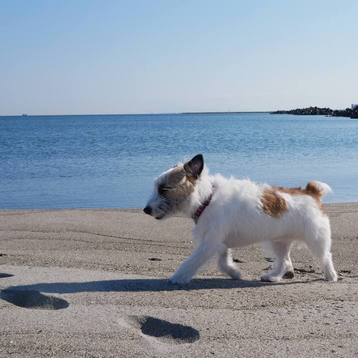 Def678b0 3414 46d0 922e e757ba597821 1555146703247