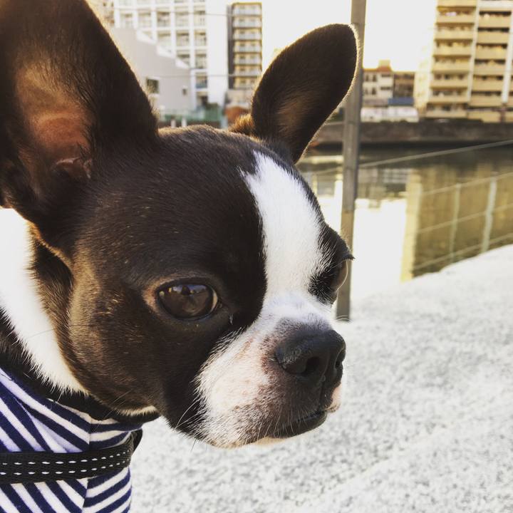 Def6cb27 5255 44e8 9794 6a8628d6053b 1522029330013