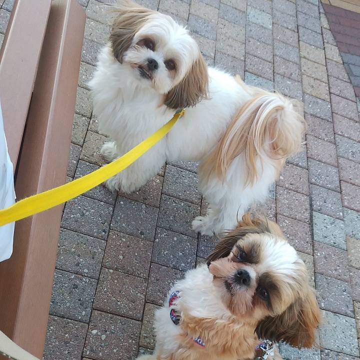 Def6e94d ea10 4e7d 8d19 6288a8517cd4 1572853580781