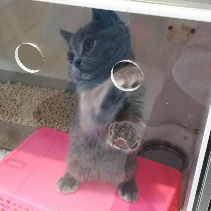 Def7013b 09c4 4ff3 bb18 b833eb552761 1567331708670