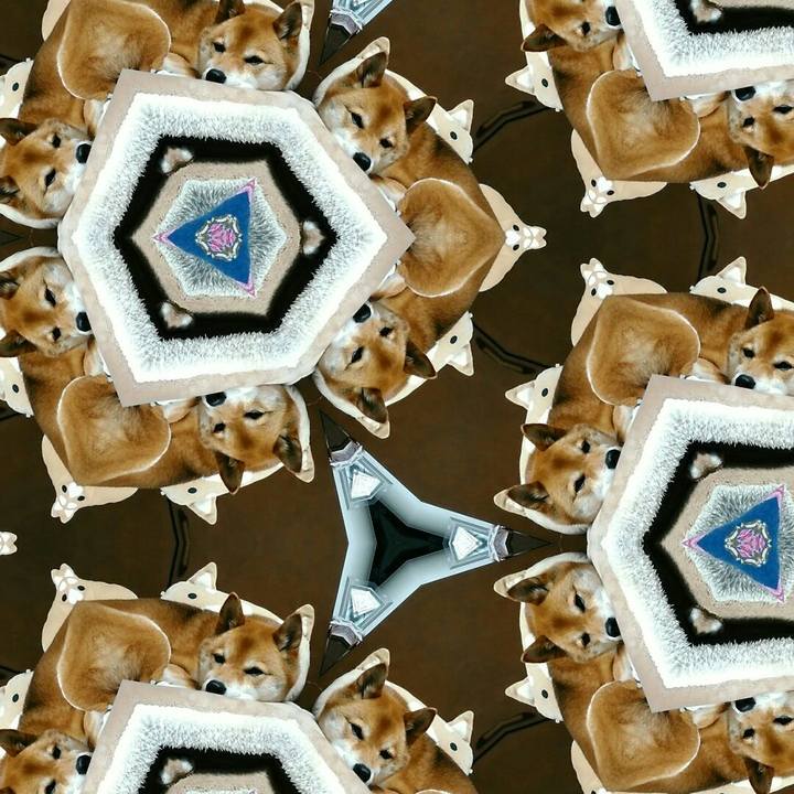 Def707c5 4b38 420b a44b d7d30a8052c4 1554879539708