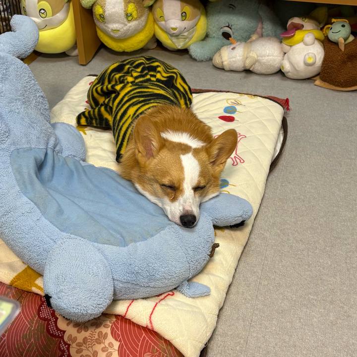 Def71c38 e012 4220 83de c33458818d31 1770422861379