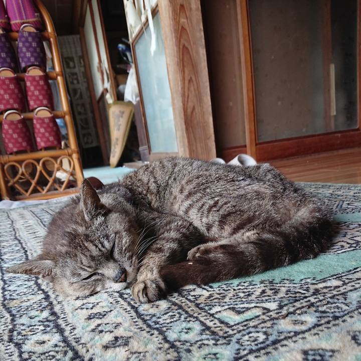 Def71d35 5423 4150 922d 61162d9b6b56 1597476653559