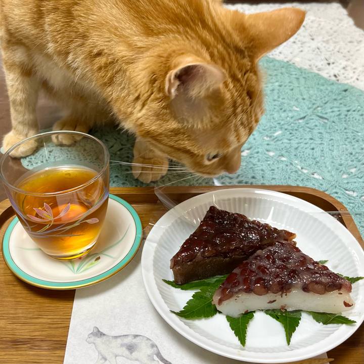 Def73bb7 873a 4035 b697 e5f7a183e769 1719735283202