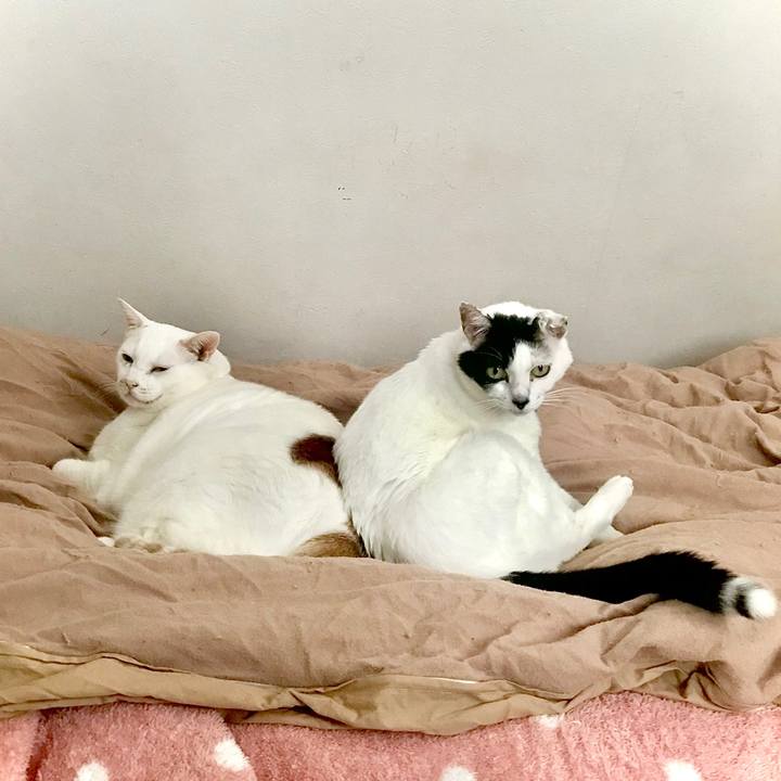 Def7439c f5c0 4e14 be48 f5b90a984599 1666877429215