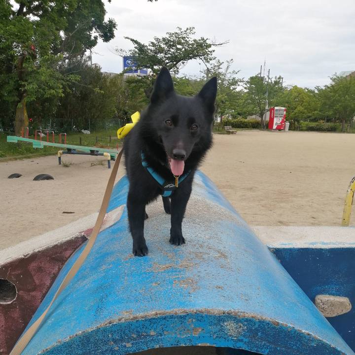 Def75360 bb91 4dc3 891c 7db4bb9ad68d 1652303559552