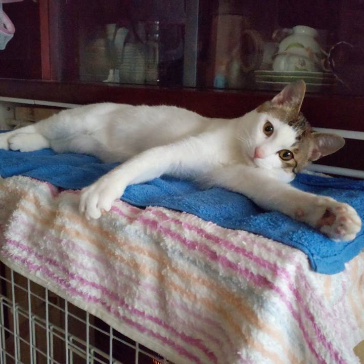 Def7d781 2509 4a5b a085 788c58d6a83a 1647818440258