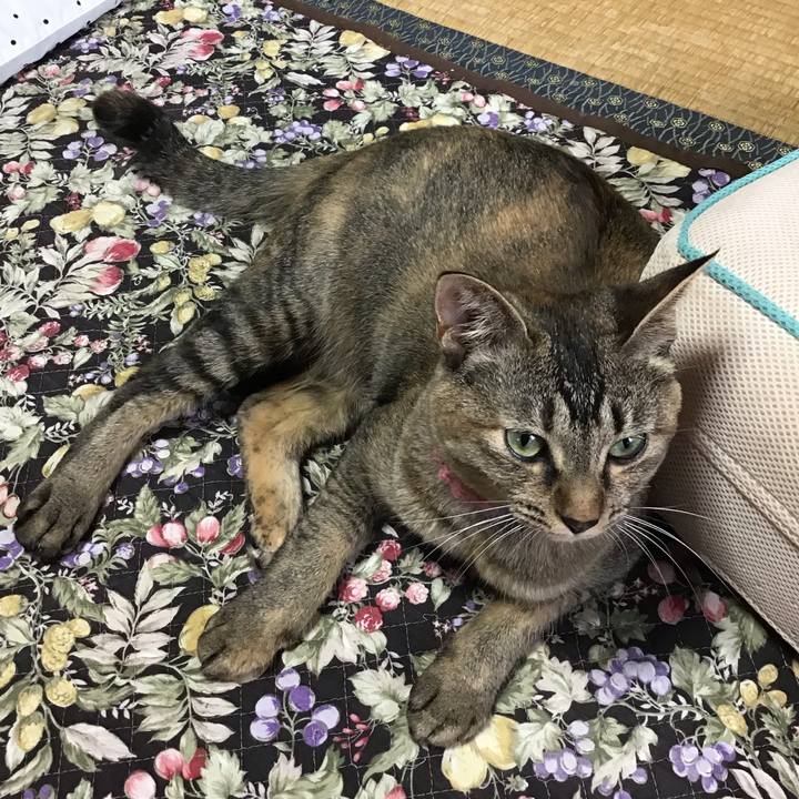 Def7dd34 8414 45ab 9334 c60bdad04296 1594608238536