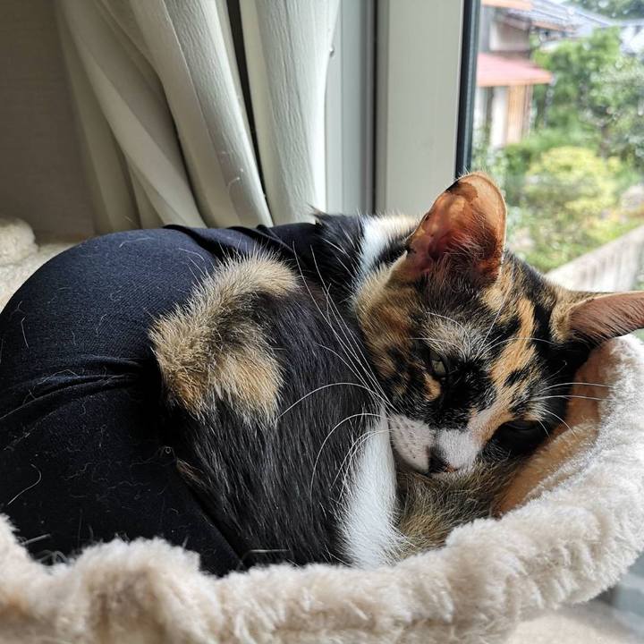 Def82e40 c599 4ad8 bfdb 2e8f7847e420 1602214872299