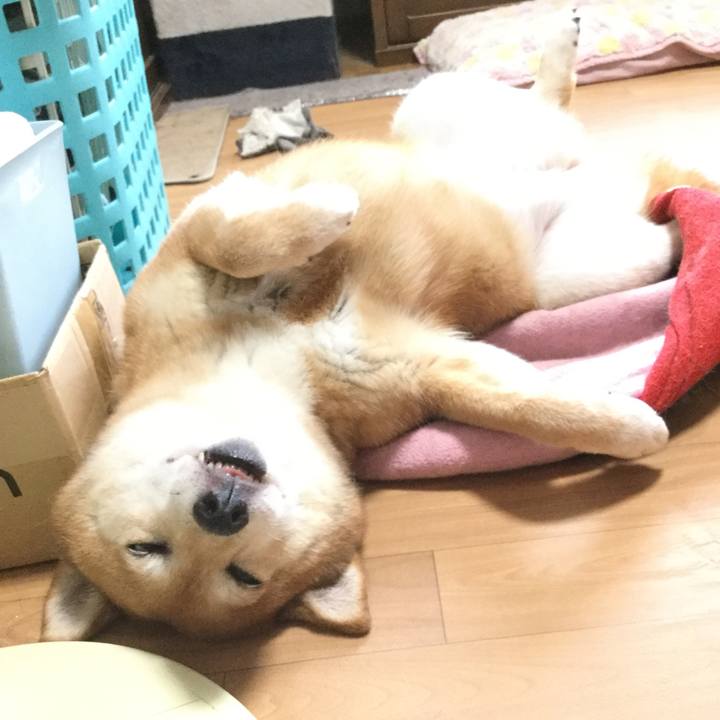 Def87296 1001 457c 8c23 e965a4c399ea 1592526041629