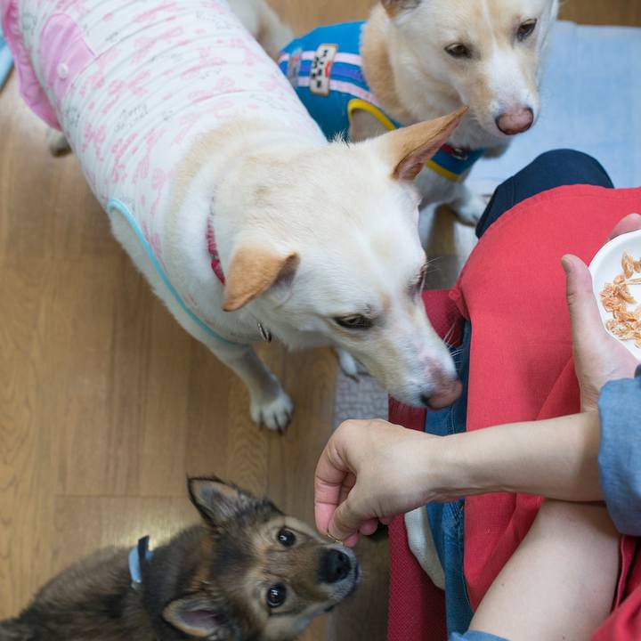 Def8a19f ca47 428c bbbf 2bbbdacfe0c5 1525522226993