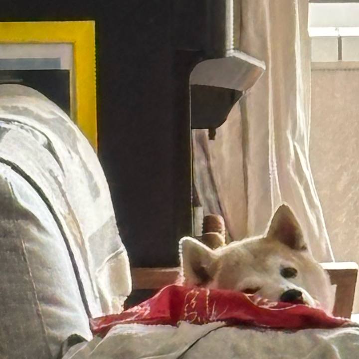 Def8ac57 06e5 401b 8db3 1f8efbfa7e92 1742316822726