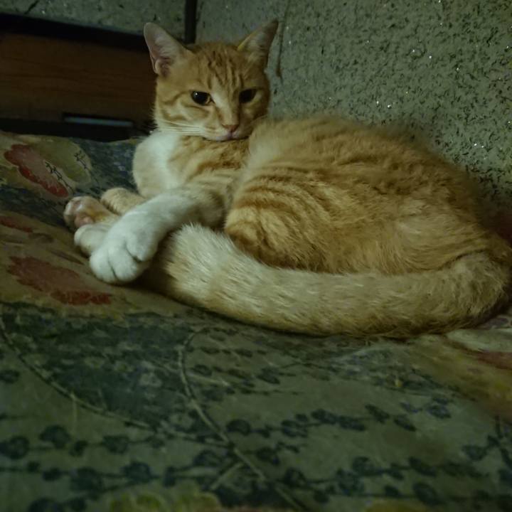 Def8b7b6 dc99 4f2f b64e 5d1e063540eb 1594988425797