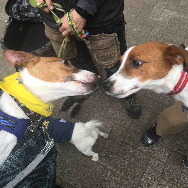 Def8fb64 49aa 4efe 872c 32712e86071d 1523692768649