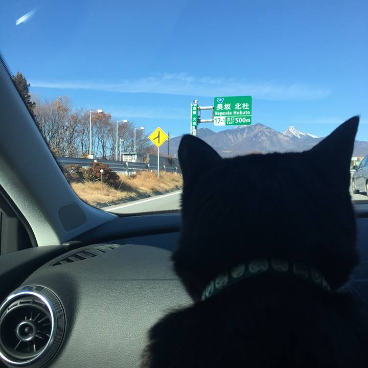 Def913a1 61c6 4294 aef8 6d53fdc28e04 1512203766411