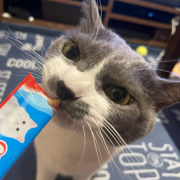 Def93f5b 6285 4b22 aa0d 4883da0f262c 1694338214475