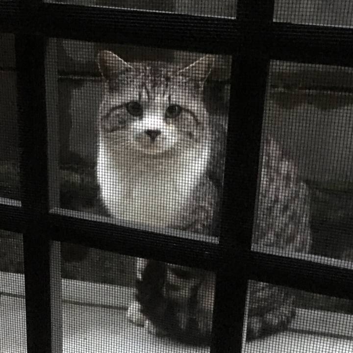 Def94f62 8af1 4fd9 8a0f 659130c36d1c 1525169662323