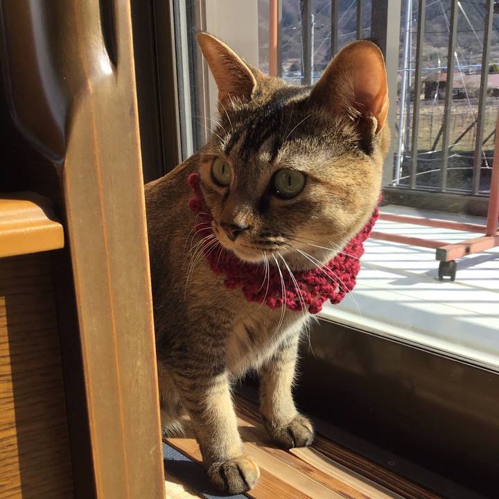 Def962aa 6736 42bb 93db 31938d9d391b 1614402960759