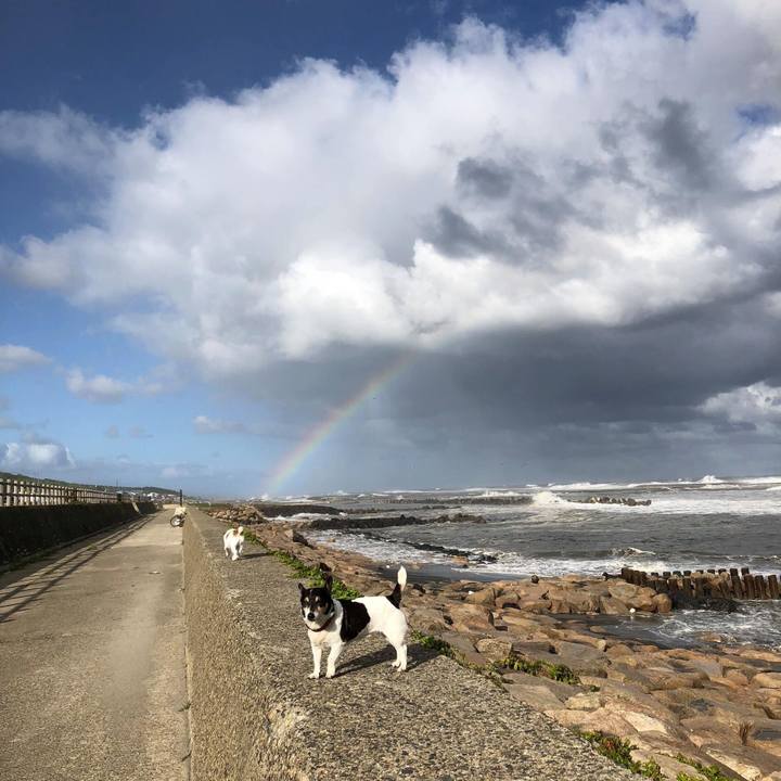 Def9b2a3 ca30 4a7f 9900 5898e41c8516 1597641080377