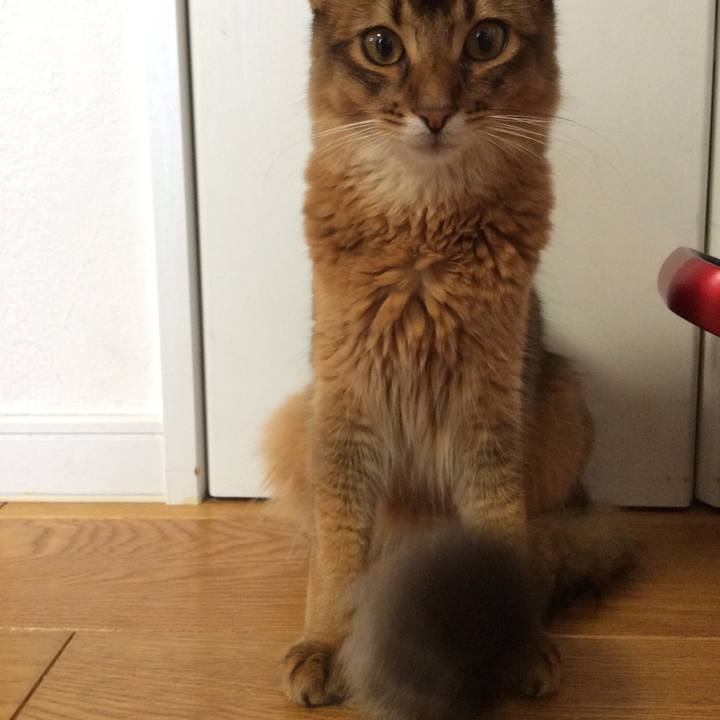 Def9b9b1 d3c9 409e 845b 7a54a2955efd 1567554975429