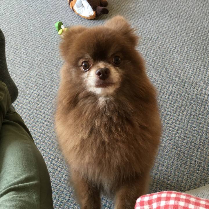 Def9f2b9 68dd 443f 867f a759376379ab 1529653548518