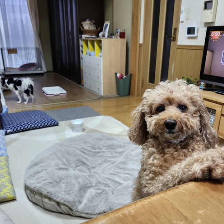 Def9fb1a 519e 4352 8c4e 7ea20e9825c9 1762903018273